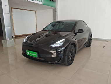 Tesla Model Y 2023 Tesla Model Y 2023 car image