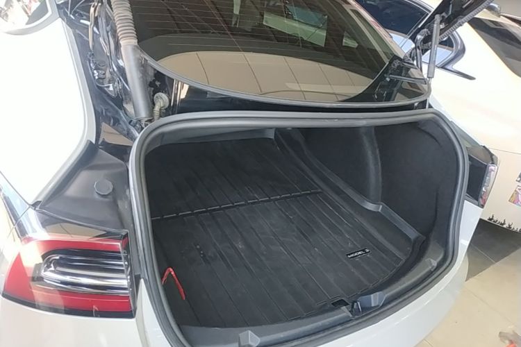 Tesla Model 3 2022 car image #21