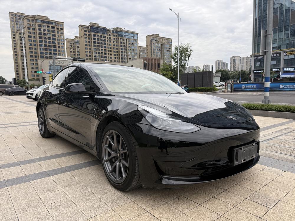 Tesla Model 3 2021 #3 Tesla Model 3 2021 car image #3