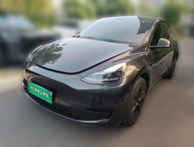 Tesla Model Y 2024 car image 