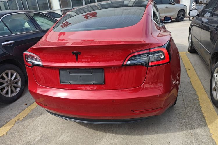Tesla Model 3 2020 car image #6