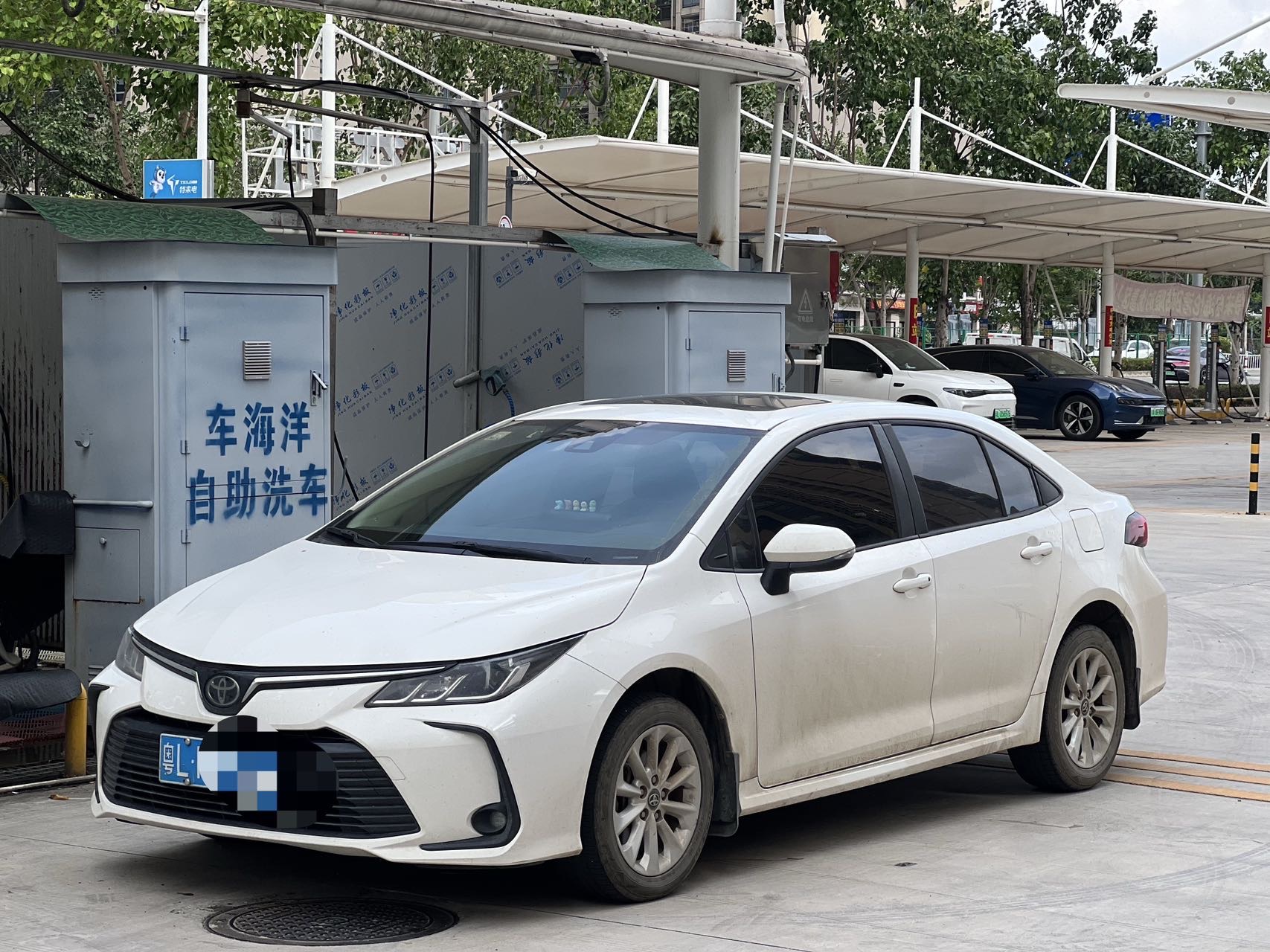 Toyota Corolla 2021 Toyota Corolla 2021 car image