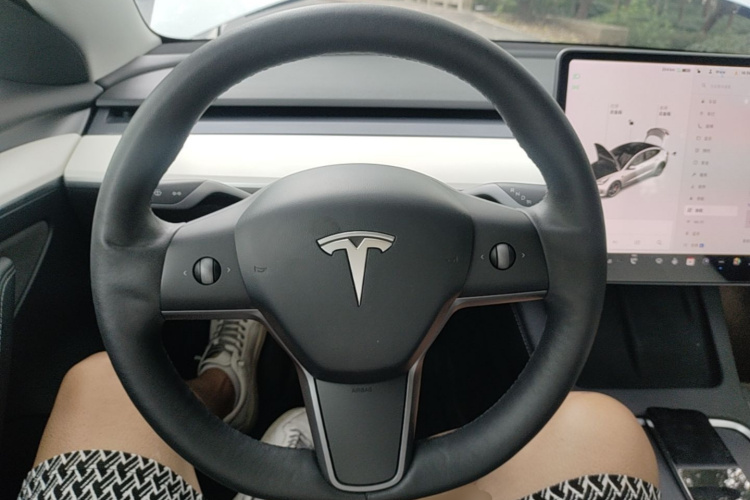 Tesla Model 3 2021 #15 Tesla Model 3 2021 immagine di auto #15