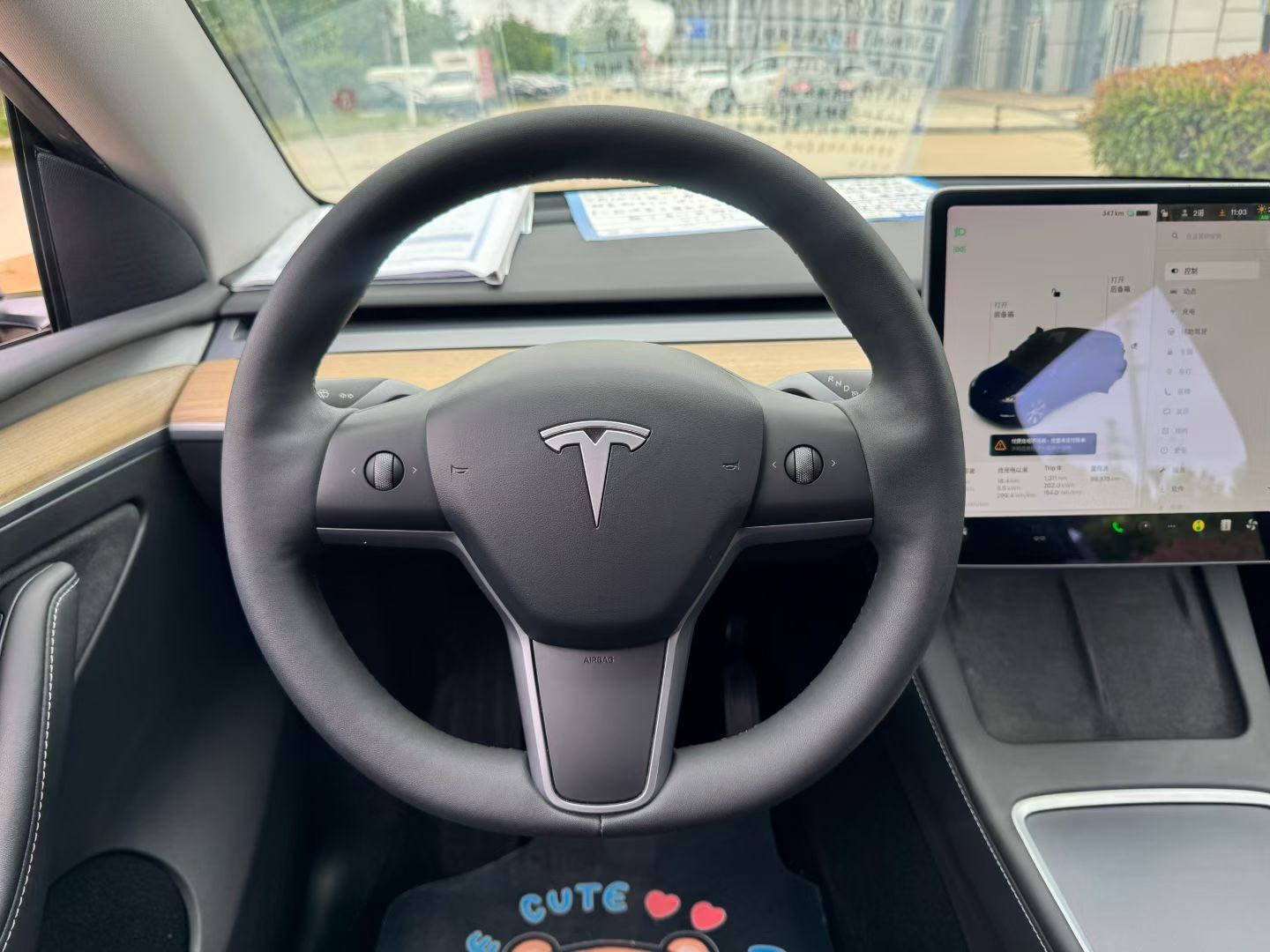 Tesla Model Y 2021 #12 Tesla Model Y 2021 صورة سيارة #12