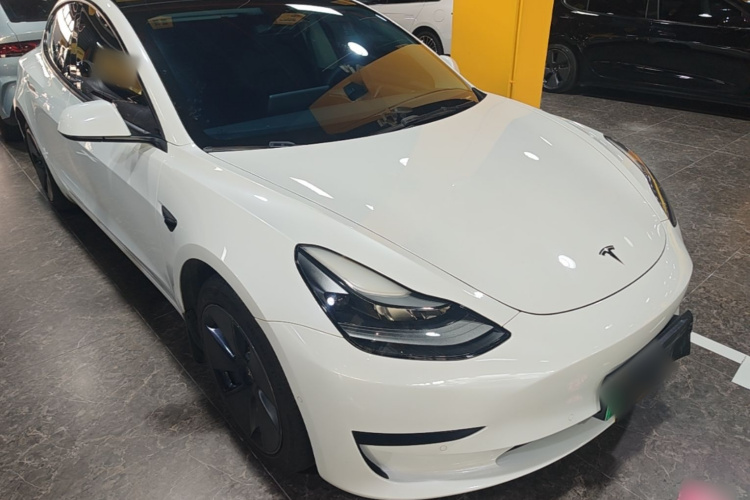 Tesla Model 3 2021 #6 Tesla Model 3 2021 car image #6