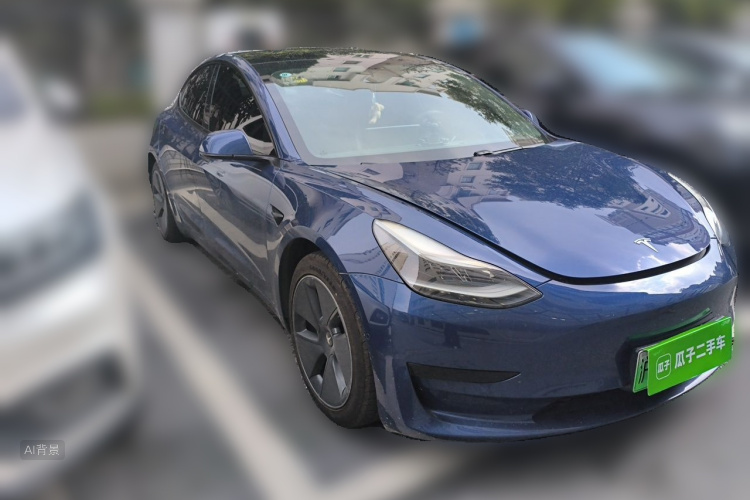 Tesla Model 3 2021 car image #4