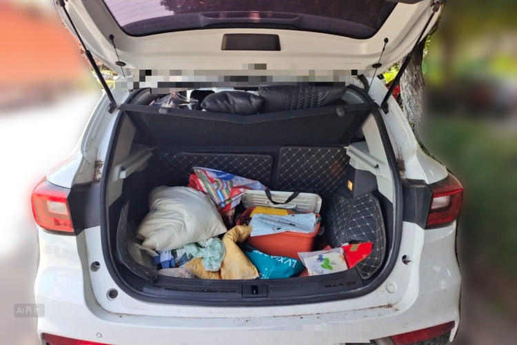 MG ZS 2019 car image #21