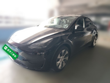 Tesla Model Y 2022 Tesla Model Y 2022 car image