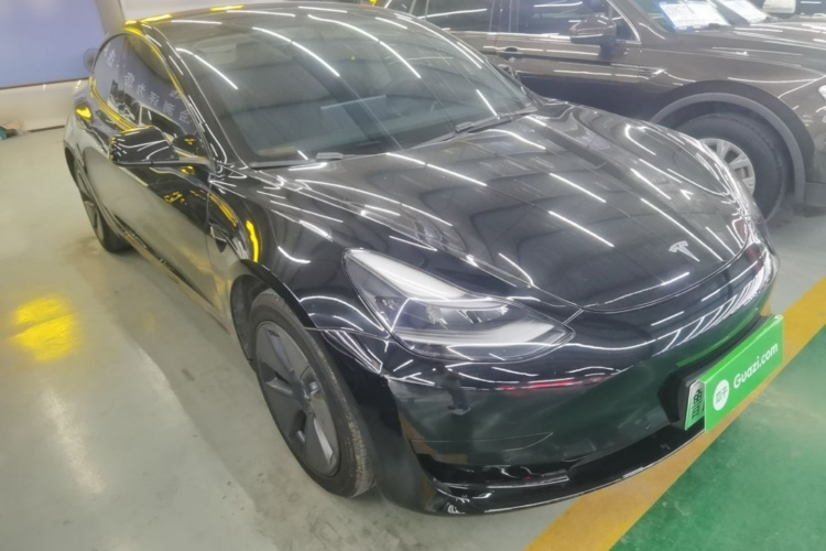 Tesla Model 3 2021 #6 Tesla Model 3 2021 car image #6