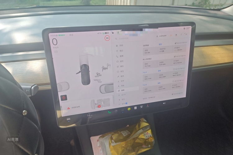 Tesla Model 3 2021 #15 Tesla Model 3 2021 car image #15