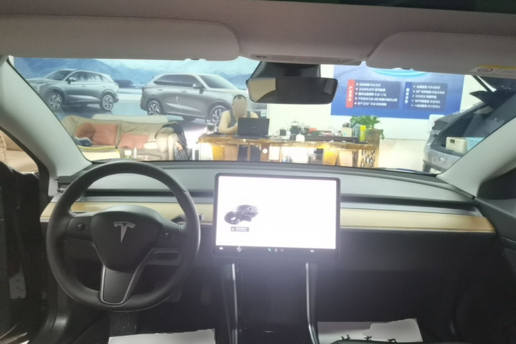 Tesla Model 3 2020 car image #10