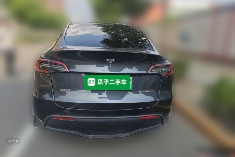 Tesla Model Y 2024 car image #6
