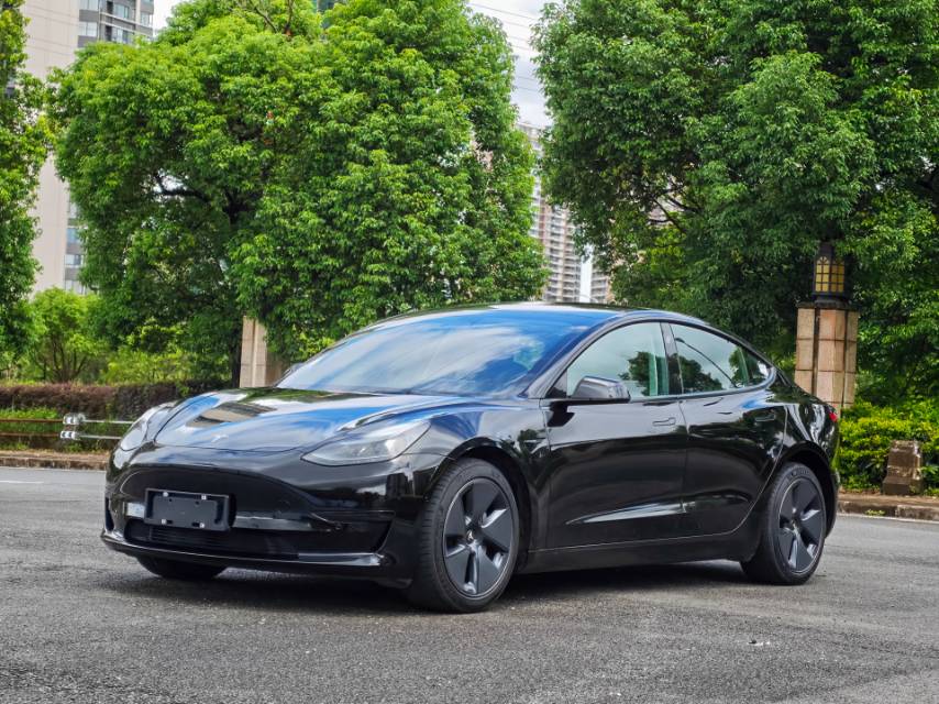 Tesla Model 3 2022 #3 Tesla Model 3 2022 car image #3