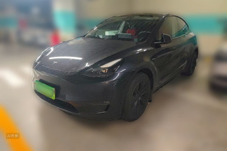Tesla Model Y 2024 car image #2