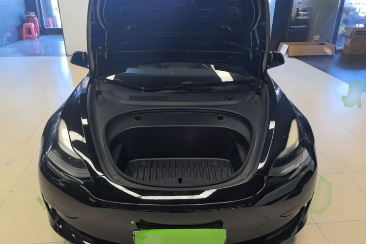 Tesla Model 3 2021 car image #20