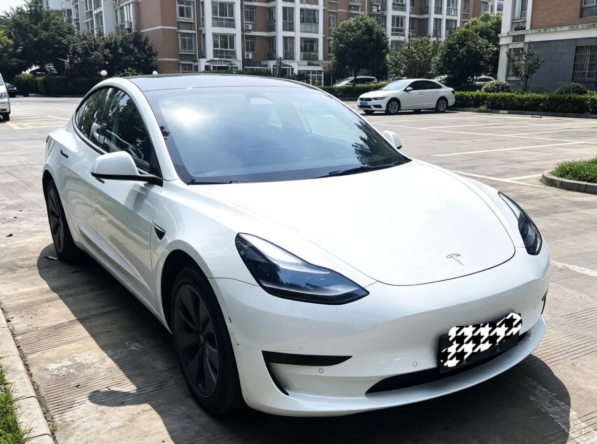 Tesla Model 3 2021 immagine di auto #2