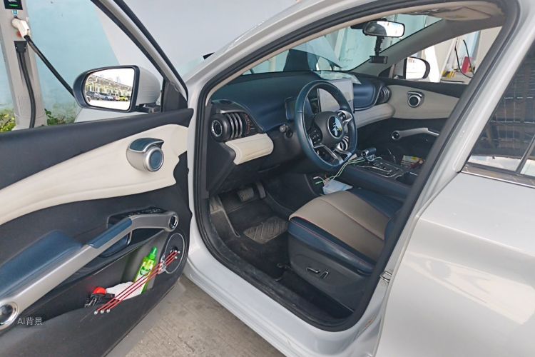 BYD Yuan Plus 2023 car image #18