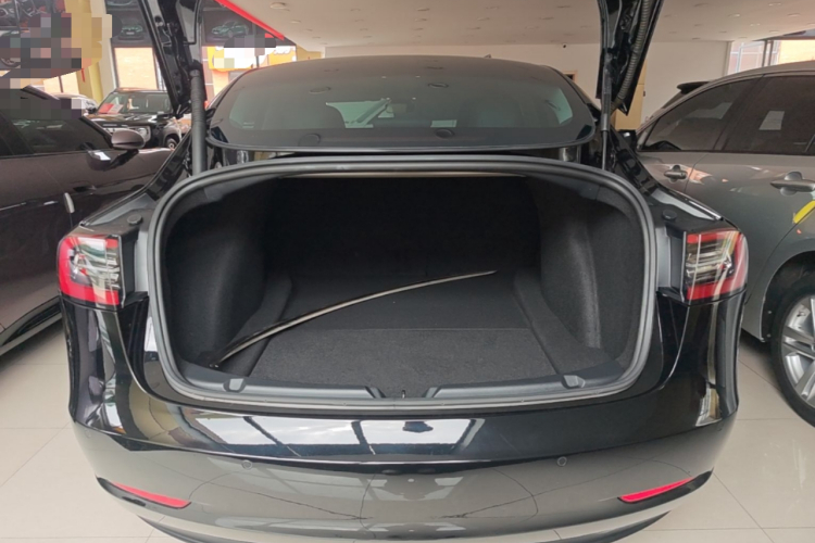 Tesla Model 3 2021 imagem de carro #19