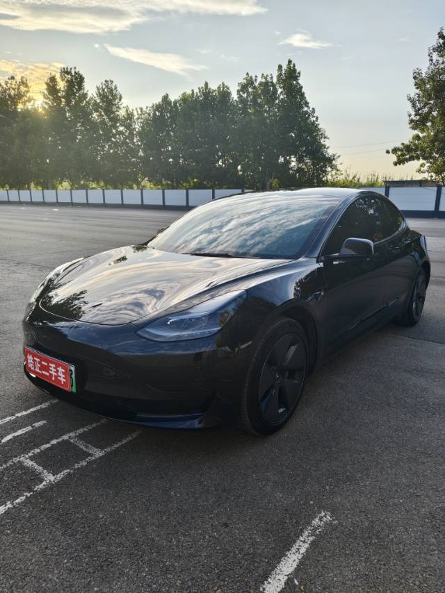 Tesla Model 3 2023 car image 