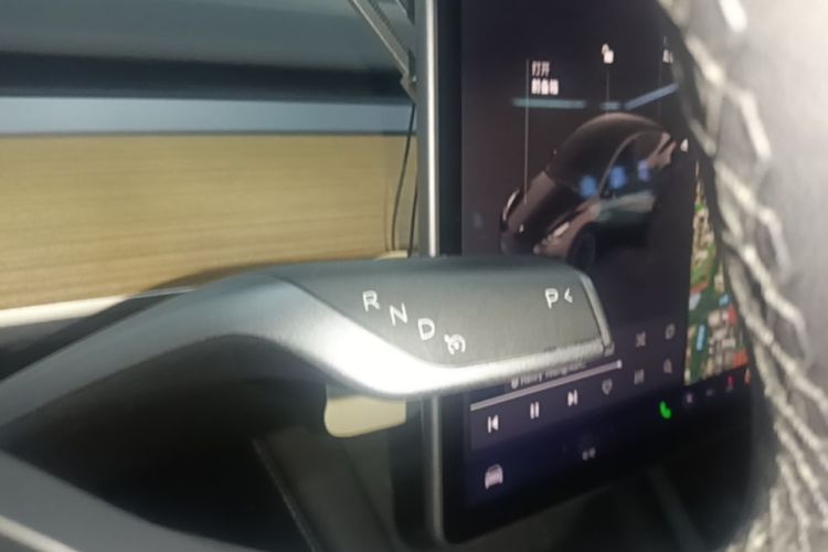 Tesla Model Y 2021 #14 Tesla Model Y 2021 car image #14