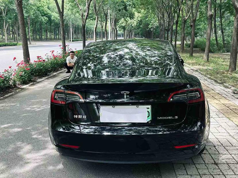 Tesla Model 3 2020 car image #5