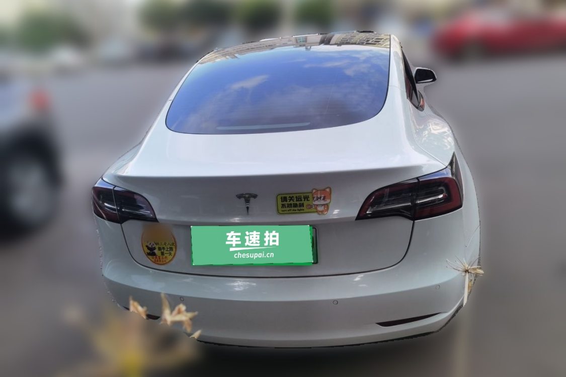 Tesla Model 3 2021 car image #6