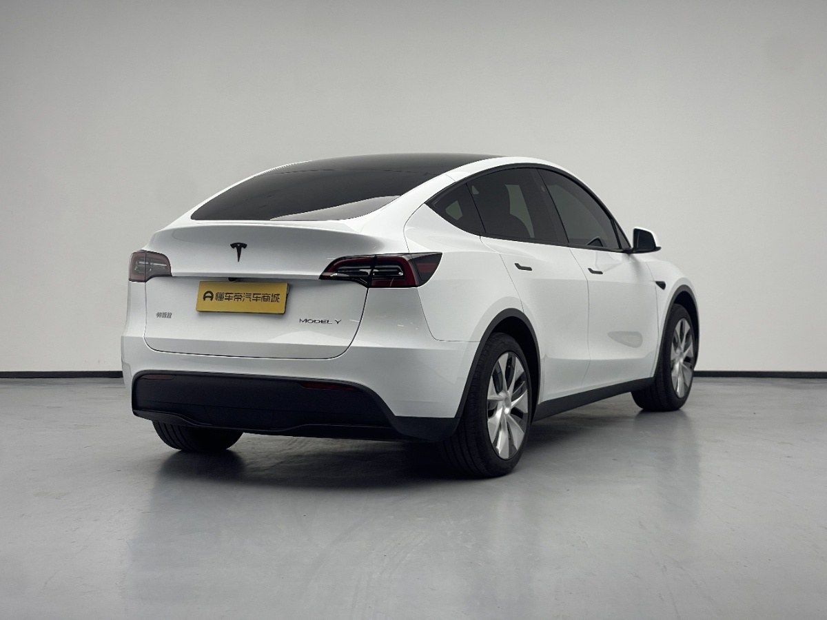 Tesla Model Y 2024 car image #9
