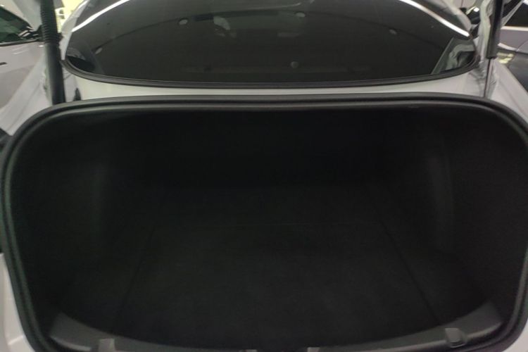 Tesla Model 3 2021 #19 Tesla Model 3 2021 car image #19
