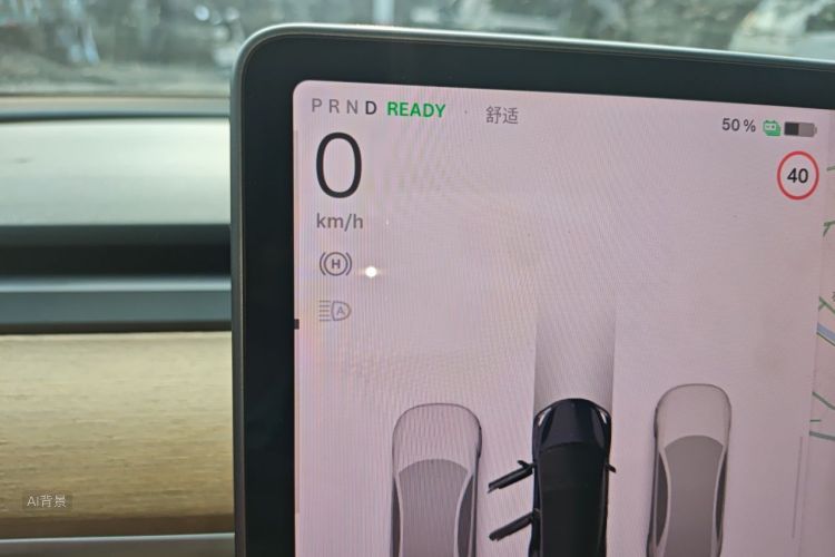 Tesla Model 3 2022 immagine di auto #13