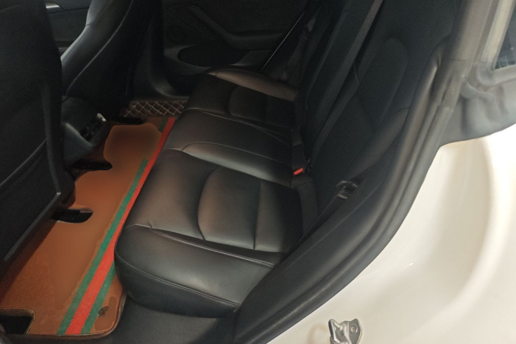 Tesla Model 3 2021 #17 Tesla Model 3 2021 car image #17