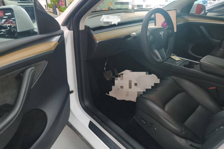 Tesla Model Y 2022 car image #12