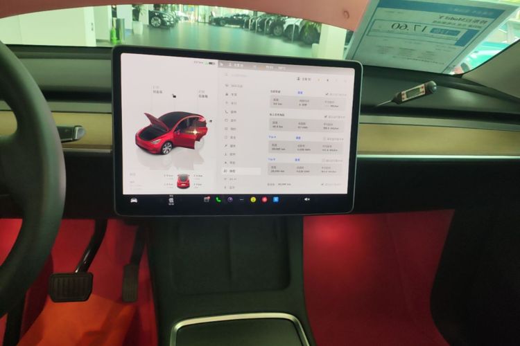 Tesla Model Y 2023 car image #13