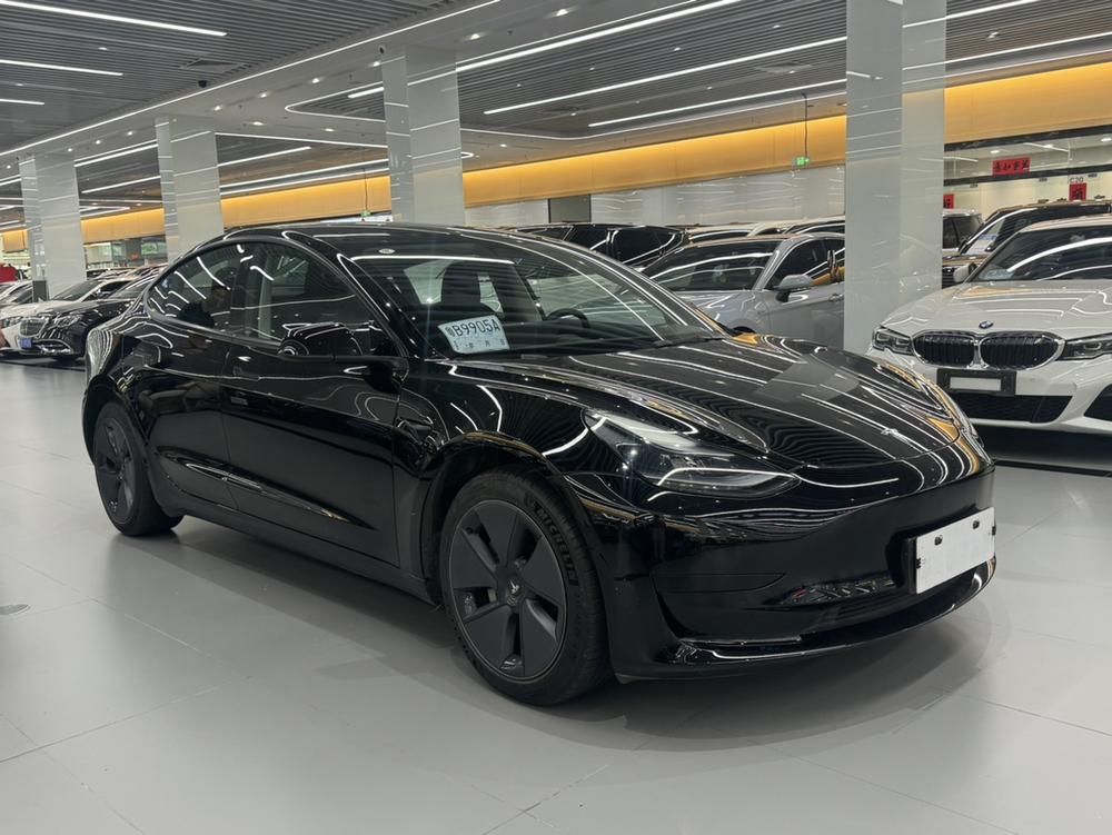 Tesla Model 3 2021 car image #3