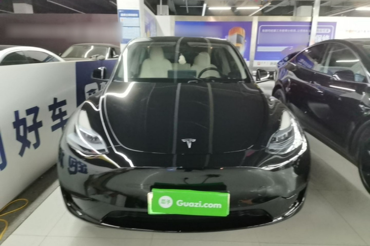 Tesla Model Y 2023 immagine di auto #3