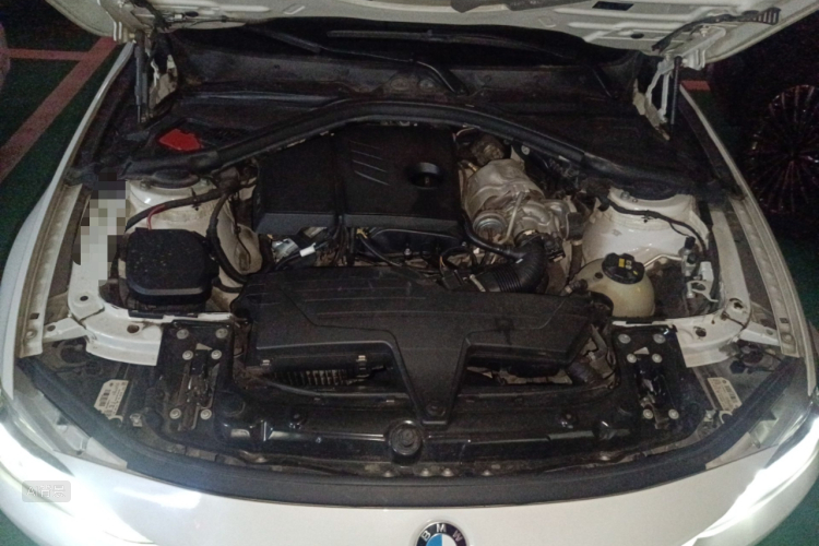 BMW 3 Series 2016 car image #22