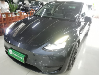 Tesla Model Y 2024 car image 