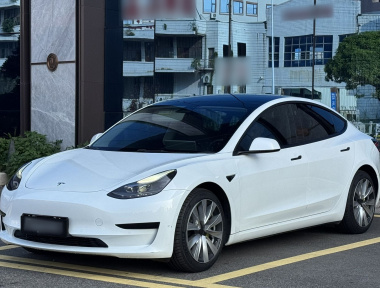 Tesla Model 3 2022 car image 