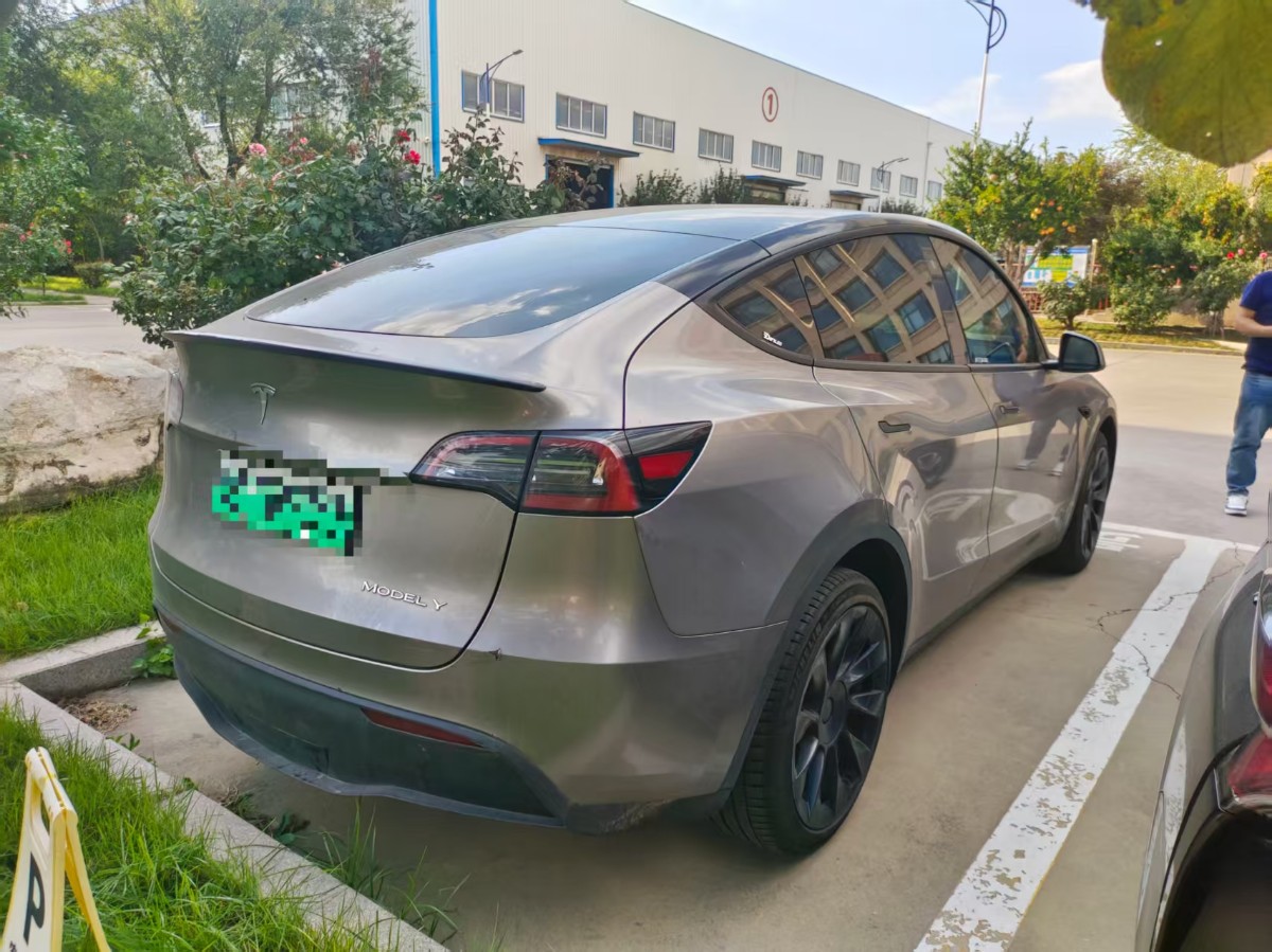 Tesla Model Y 2023 car image #6