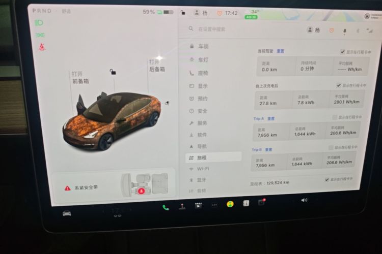 Tesla Model 3 2021 car image #17