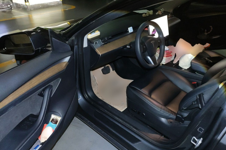 Tesla Model 3 2021 #9 Tesla Model 3 2021 car image #9