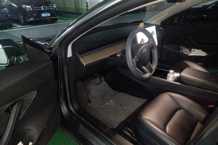 Tesla Model 3 2020 car image #9