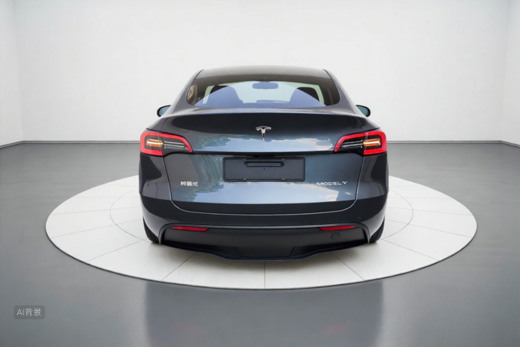 Tesla Model Y 2022 car image #6