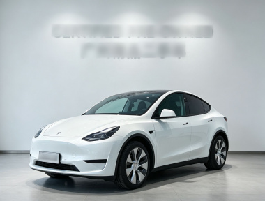 Tesla Model Y 2022 Tesla Model Y 2022 car image