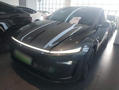 Tesla Model Y 2025 car image 