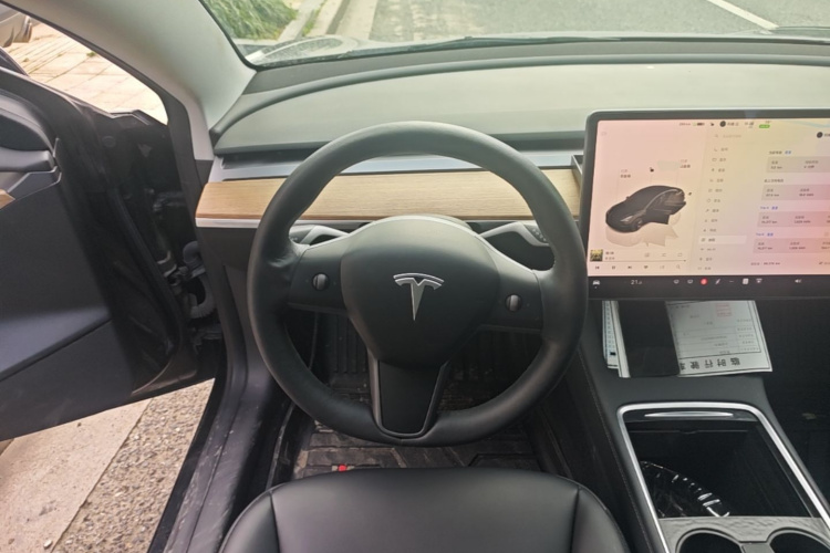 Tesla Model 3 2022 immagine di auto #11