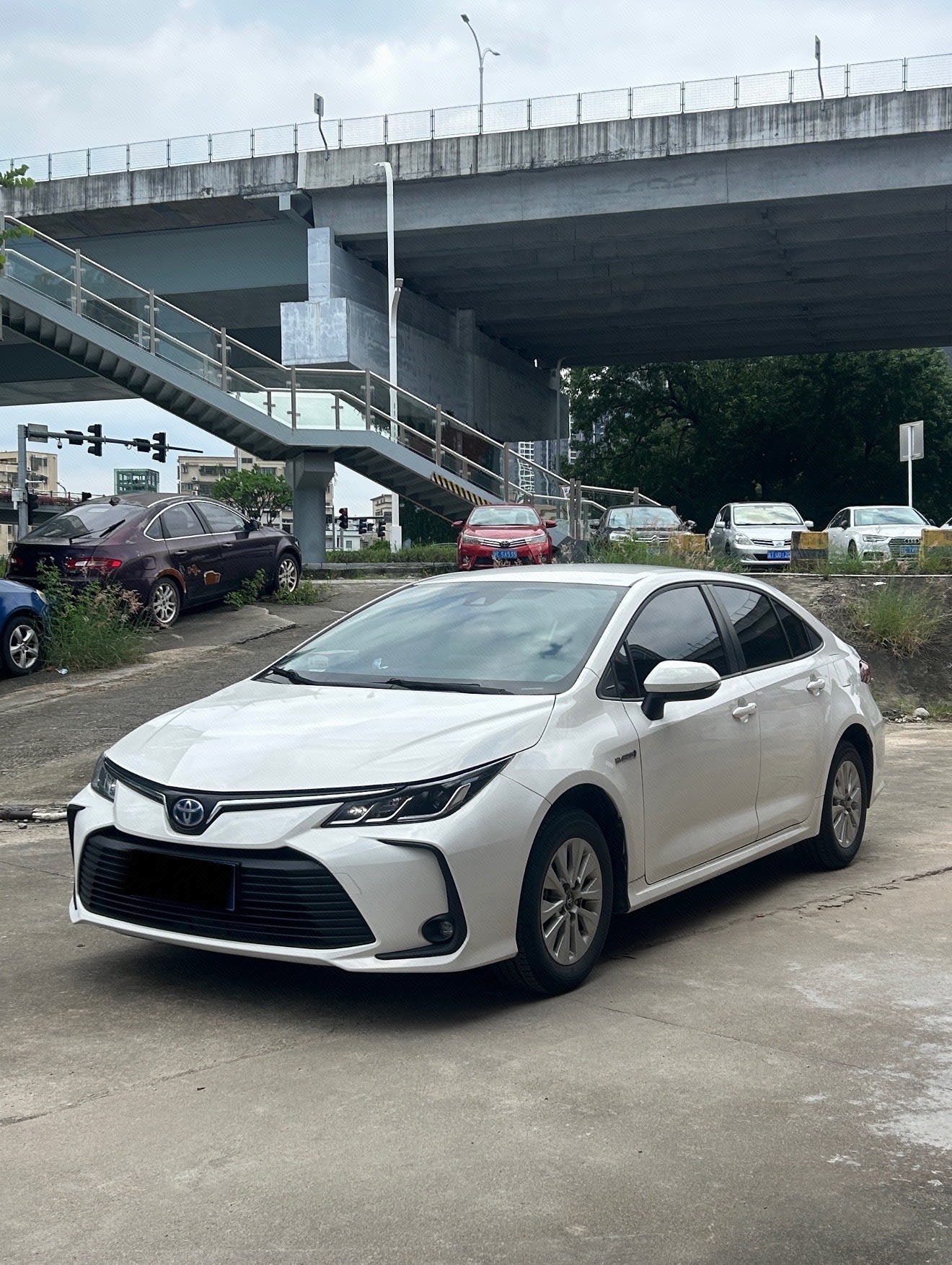 Toyota Corolla 2022 Toyota Corolla 2022 car image