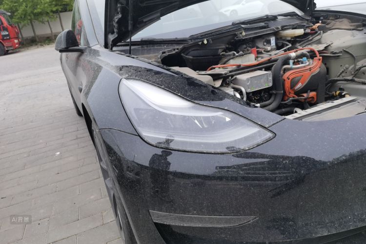 Tesla Model 3 2022 #8 Tesla Model 3 2022 car image #8