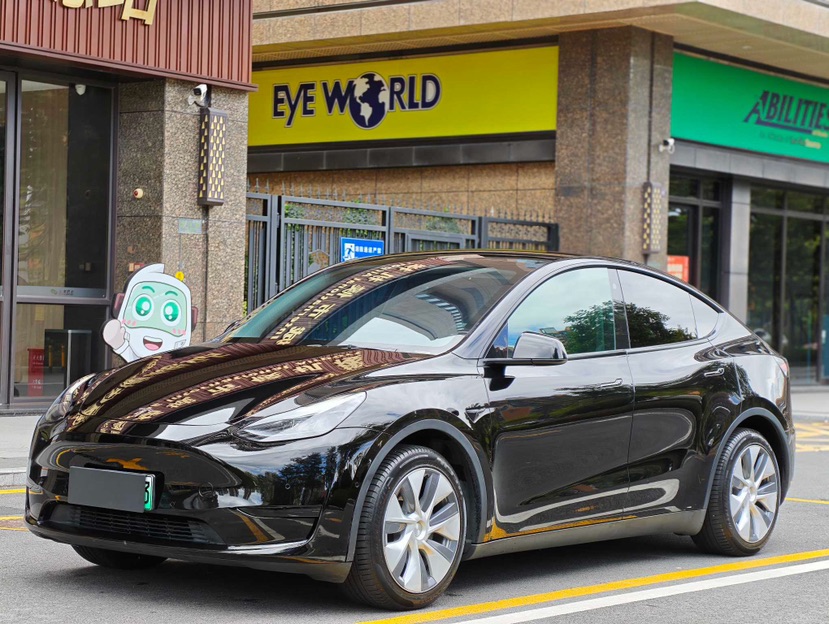 Tesla Model Y 2022 car image 