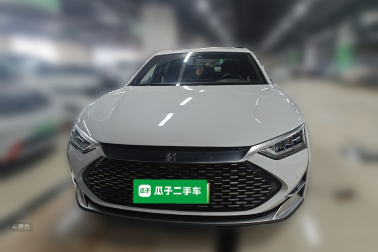 BYD Han 2020 immagine di auto #3