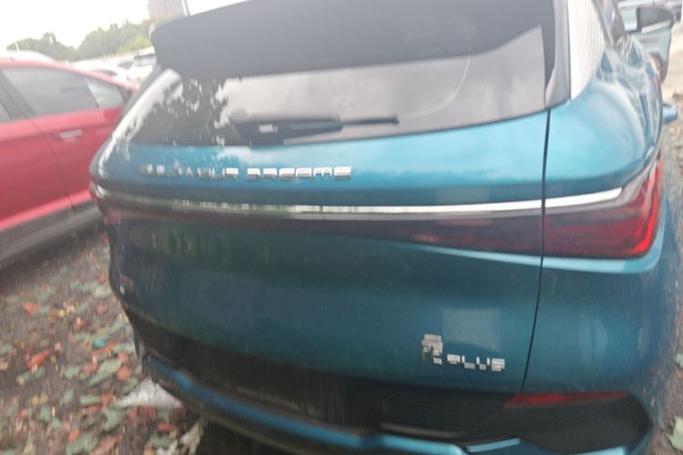 BYD Yuan Plus 2022 car image #6
